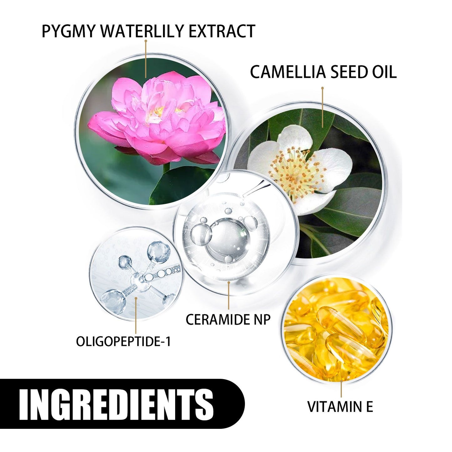 Moisturizing Cream Brightening & Whitening Moisturizing Cream