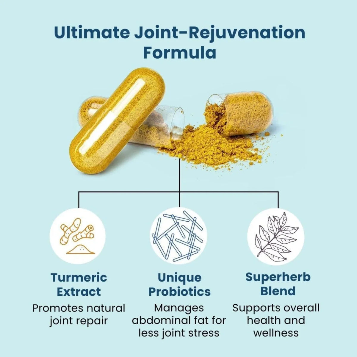 Provitalize Everyday Synbiotic