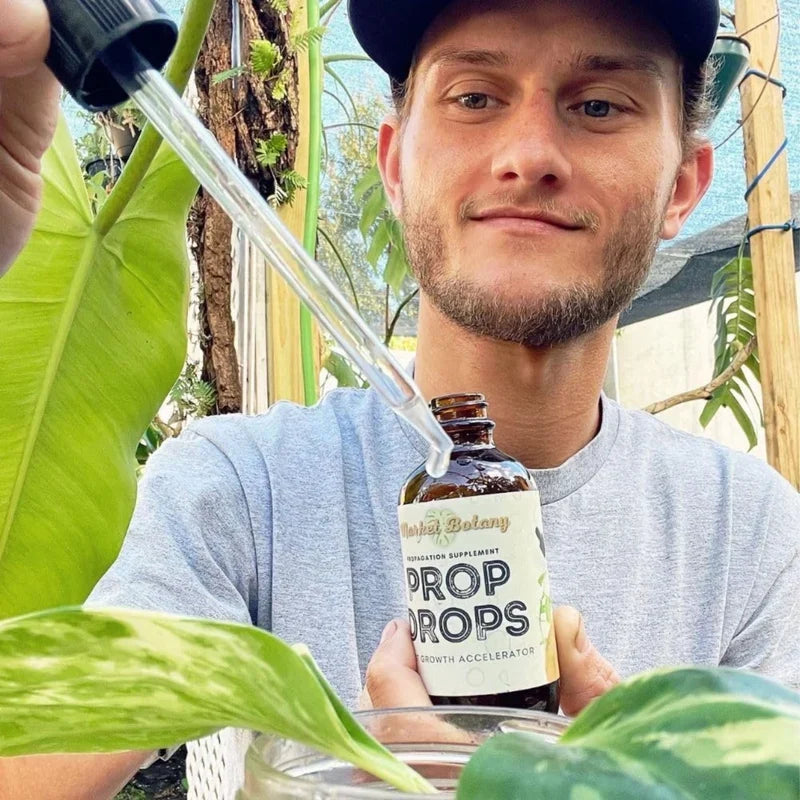 Prop Drops Root 4 oz