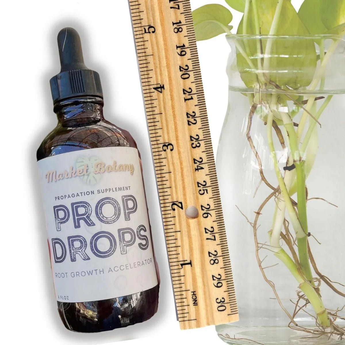Market Botany Prop Drops Root