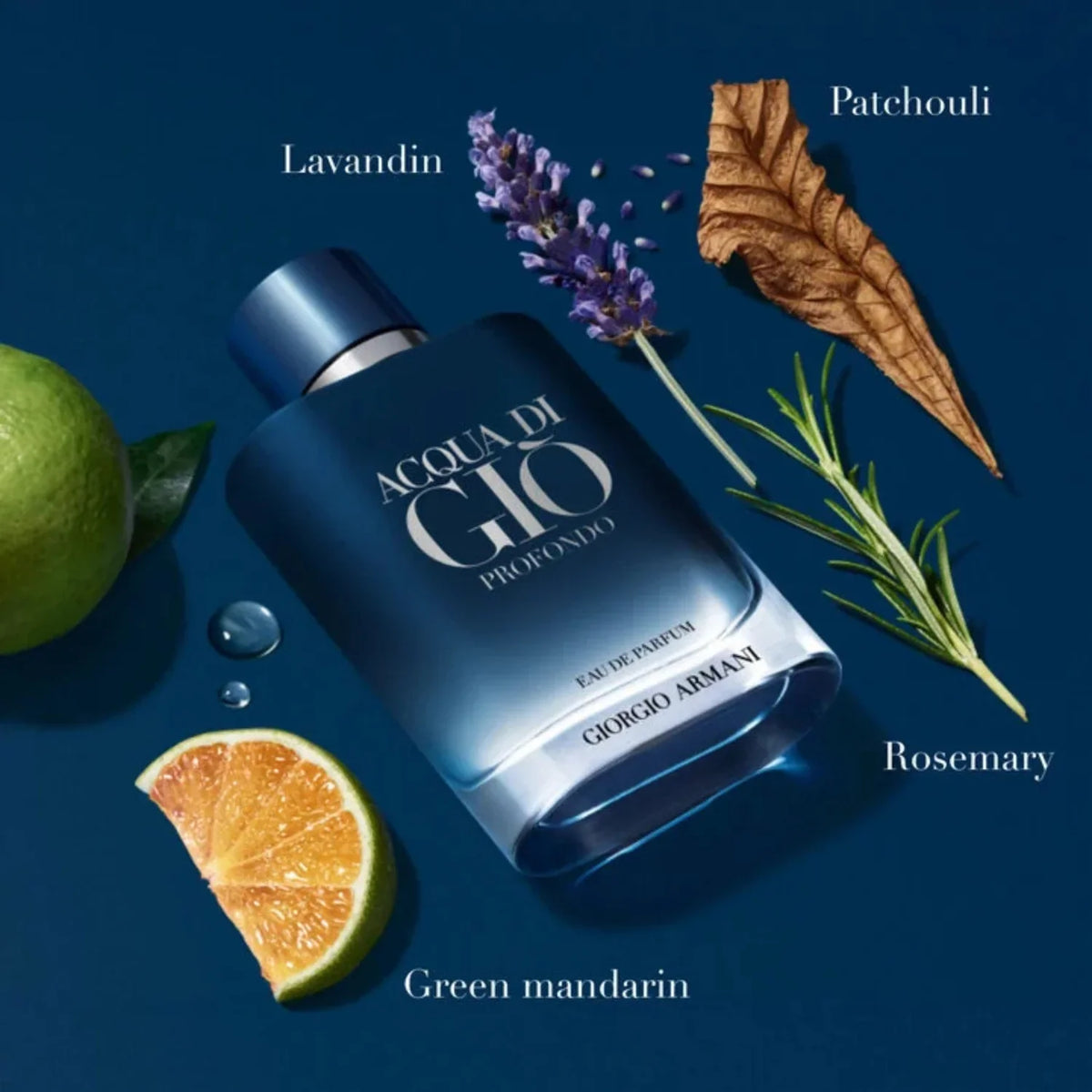 Acqua di Giò 100ml (3.4 oz)